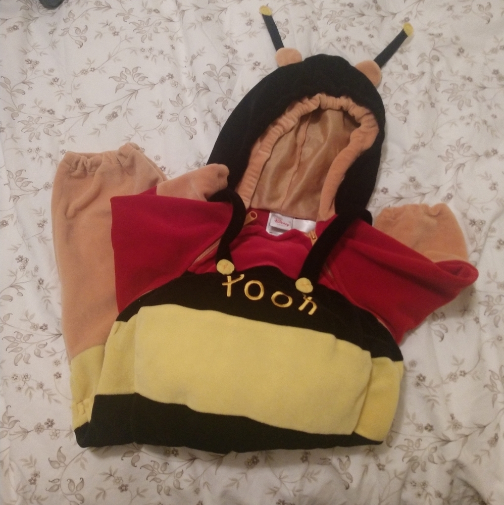 Pooh in a Bee Costume🐝